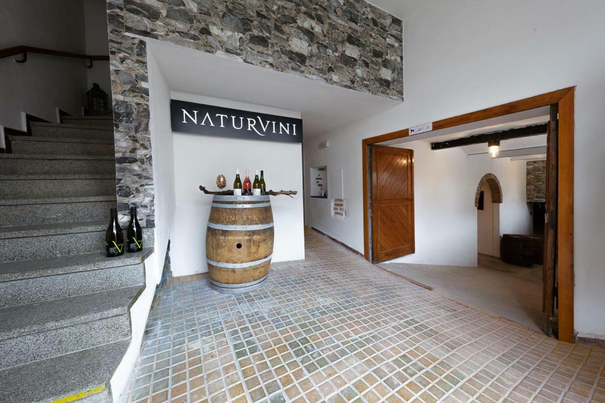 Penzion A Vinarstvi Naturvini Miroslav  外观 照片